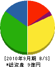 田中建設 貸借対照表 2010年9月期