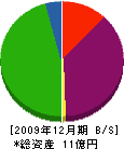 サンコー開発 貸借対照表 2009年12月期