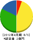 斎藤工業 貸借対照表 2012年4月期