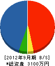 鈴木建設工業 貸借対照表 2012年9月期