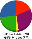 山田園芸 貸借対照表 2012年6月期