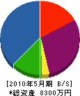 関沢電気 貸借対照表 2010年5月期