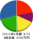 川崎木工品製作所 貸借対照表 2012年6月期