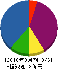 雄堀興発 貸借対照表 2010年9月期