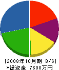 ジオセンターエム 貸借対照表 2008年10月期