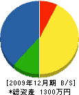 宝柾工業 貸借対照表 2009年12月期