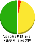 山敬建設 貸借対照表 2010年6月期