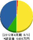 渡辺善建設 貸借対照表 2012年4月期