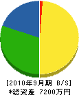 橋本電気商会 貸借対照表 2010年9月期