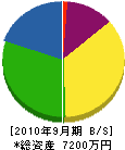 東野建設 貸借対照表 2010年9月期
