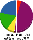 渡辺電機商会 貸借対照表 2009年3月期