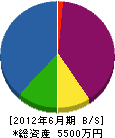 千代田総業 貸借対照表 2012年6月期