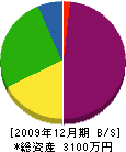 谷垣組 貸借対照表 2009年12月期