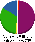 イズミ総合システム 貸借対照表 2011年10月期