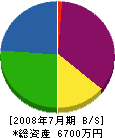 竹松建設 貸借対照表 2008年7月期