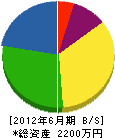 川＊電機商会 貸借対照表 2012年6月期