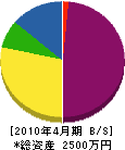 塚田電気商会 貸借対照表 2010年4月期