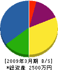松本工務店 貸借対照表 2009年3月期