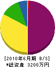 田中工業 貸借対照表 2010年6月期