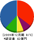 シンワ 貸借対照表 2009年12月期