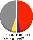 増島建工 損益計算書 2010年6月期