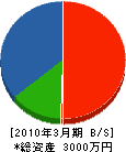 鈴木土木 貸借対照表 2010年3月期