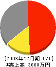 山崎電工 損益計算書 2008年12月期