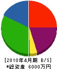 竹内組 貸借対照表 2010年4月期