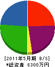 江口ペーブメント 貸借対照表 2011年5月期