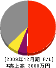 藤井工業 損益計算書 2009年12月期