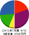 松村造園土木 貸借対照表 2012年7月期