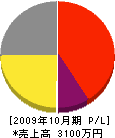 渡辺電機 損益計算書 2009年10月期