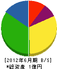 小山商会 貸借対照表 2012年6月期