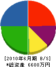 丸島工務店 貸借対照表 2010年6月期