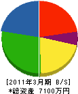 ライフライン岩崎 貸借対照表 2011年3月期