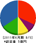 生田木材技建 貸借対照表 2011年6月期