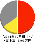 坂元電気 損益計算書 2011年10月期