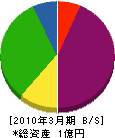 武田建設 貸借対照表 2010年3月期