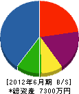 高山電気 貸借対照表 2012年6月期