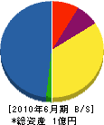 栄城舗道 貸借対照表 2010年6月期