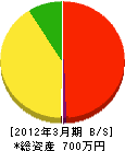 清田工業 貸借対照表 2012年3月期