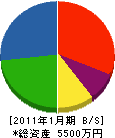 稲忠 貸借対照表 2011年1月期