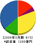 新日鉄ソリューションズ 貸借対照表 2008年3月期