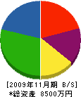 藤本工業 貸借対照表 2009年11月期
