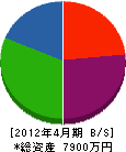 上村土木興業 貸借対照表 2012年4月期