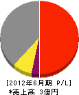 上野ガス 損益計算書 2012年6月期