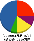 川崎建設 貸借対照表 2009年4月期
