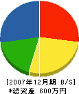 比田勝組 貸借対照表 2007年12月期