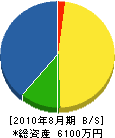 大田緑地 貸借対照表 2010年8月期
