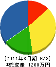 川島電気設備 貸借対照表 2011年8月期